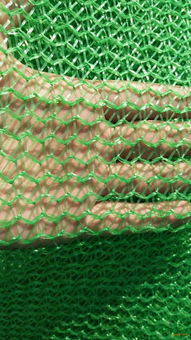 綠色3針工地蓋土網(wǎng) 實體廠家直銷的高效防塵解決方案