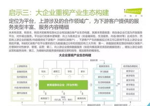 2019年中國教育信息化行業(yè)報告 信息技術咨詢服務的戰(zhàn)略角色與發(fā)展路徑